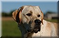 DSC_6531.JPG