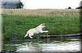 DSC_6543.JPG