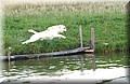 DSC_6547.JPG