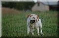 DSC_6555.JPG