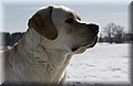 DSC_8923.JPG