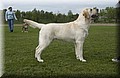 DSC_9235.JPG