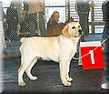 IMG_0087777www.jpg