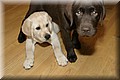 IMG_0431.JPG