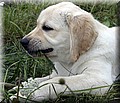 IMG_0448888.jpg