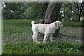IMG_0576.JPG