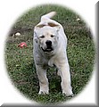 IMG_0588888.jpg