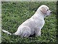 IMG_066000.jpg