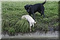 IMG_0675.JPG