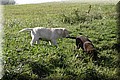 IMG_0685.JPG