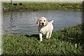 IMG_0691.JPG