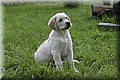 IMG_0791.JPG