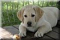 IMG_0822.JPG