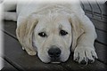 IMG_0836.JPG