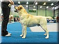 IMG_1068.jpg
