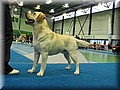 IMG_1071.jpg
