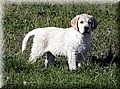 IMG_114888.jpg