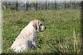 IMG_1152.JPG