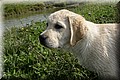 IMG_1208.JPG
