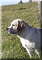 IMG_19655.jpg