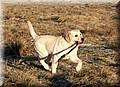 Img00107777.jpg