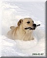 Img0056000000.jpg