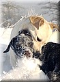 Img00673333.jpg