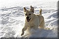 Img00678888.jpg