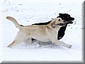 Img00997777.jpg
