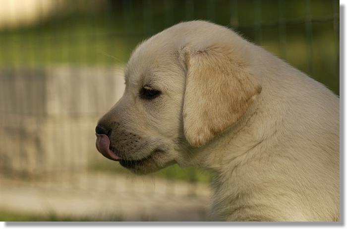 2006-07-04