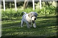 DSC_3494.JPG