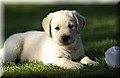 DSC_3503.JPG