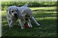 DSC_3512.JPG