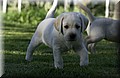 DSC_3537.JPG