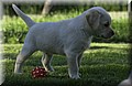 DSC_3538.JPG