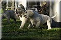 DSC_3540.JPG