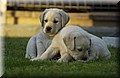 DSC_3640.JPG