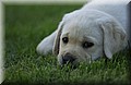 DSC_3800.JPG