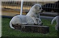 DSC_3817.JPG