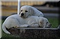 DSC_3828.JPG