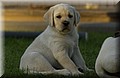 DSC_3854.JPG