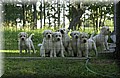 DSC_3881.JPG