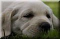 DSC_3931.JPG