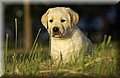 DSC_4149.JPG