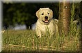 DSC_4165.JPG