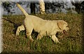 DSC_4182.JPG
