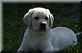 DSC_5165.JPG