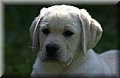 DSC_5167.JPG