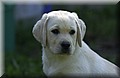 DSC_5173.JPG