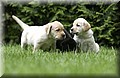 DSC_9776 (Small).JPG